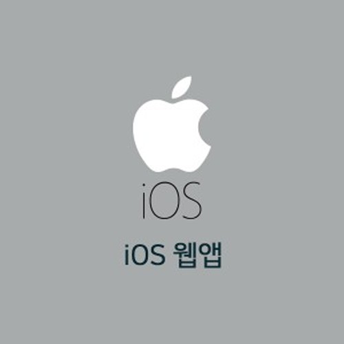 iOS 웹앱(APP)